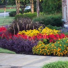 Landscape Ideas