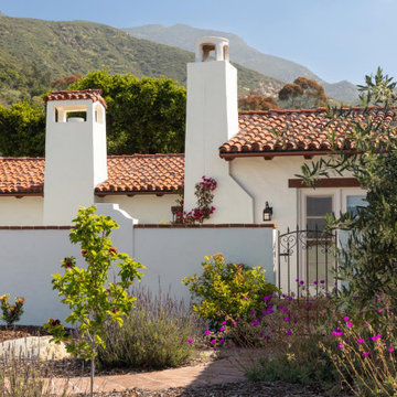 Montecito Phoenix rise from the ashes