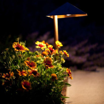 Low Voltage Lighting Design & Installation