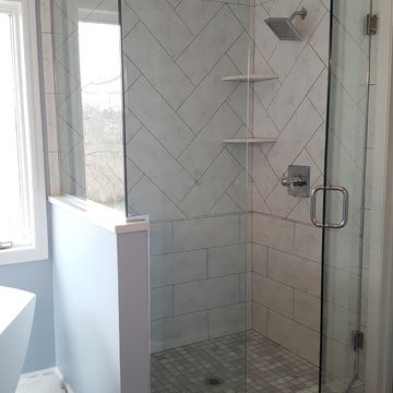 Frameless Shower Door