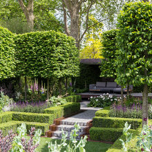 Patio Ideas