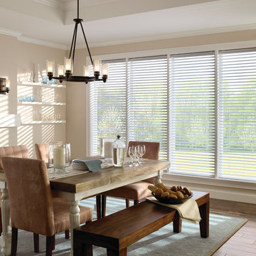 Odysee Cellular blinds