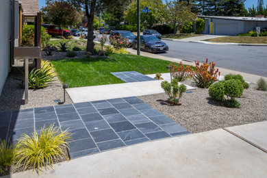 Design ideas for a mid-century modern landscaping in San Francisco.