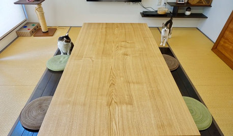 掘りごたつって便利なの? 魅力や設置方法を建築家が解説