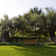 Outdoor Inspiration