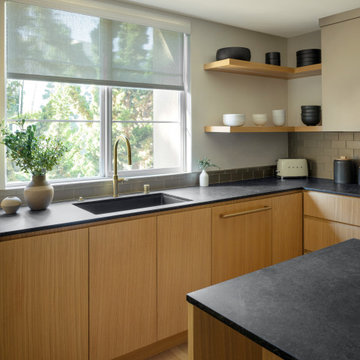 Contemporary Kitchen Remodel
