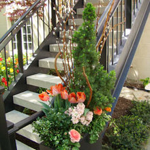spring planter ideas