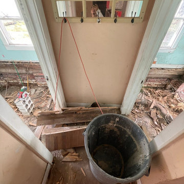 Termite Damage Is at it Again