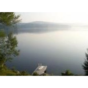 Jacki Murray's photo