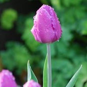 Mandy Fassio's photo