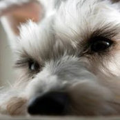 Sheree Bryant's photo