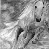 Ayman Kodera's photo