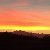 Brett Datteri's photo