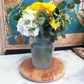 Molly Cummins's photo