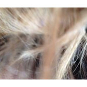 Irene Behr's photo