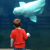 Alicia Michel's photo