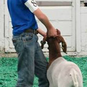 Amy Jo Carroll's photo