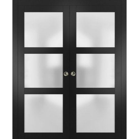 Sliding Interior Double Pocket Doors|Lucia 2552 Matte Black|Frosted Glass 84x96