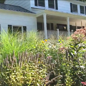 Rethinking the Front Lawn - Try a Native Perennial Garden Instead!