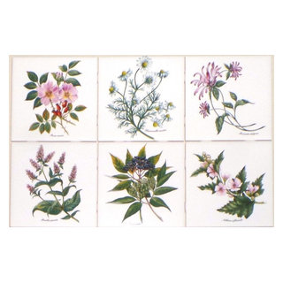 Botanical Herb Flower Ceramic Tile 6 of 4.25" Diplotaxis Muralis Kiln Fired 