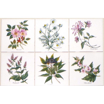 Herb Botanical Flower Kiln Fired Ceramic Tiles of Backsplash, 6-Piece Set