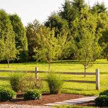 Orchard