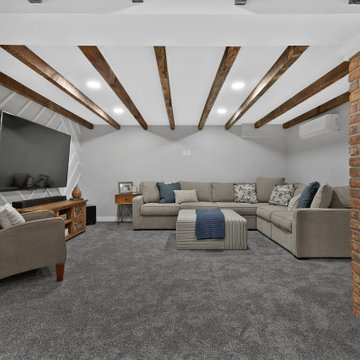 Farmhouse Basement Renovation