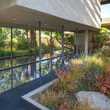 The Scheimer house. Architects Richard and Dion Neutra. 1972
