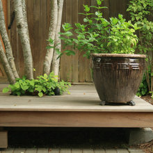 Landscape Ideas