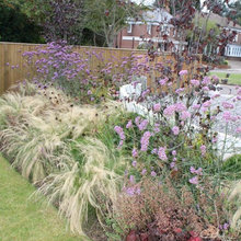 New front garden