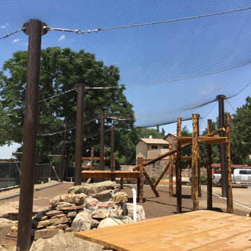 Pueblo Zoo - Debrazza Monkey Animal Exhibit (2018)