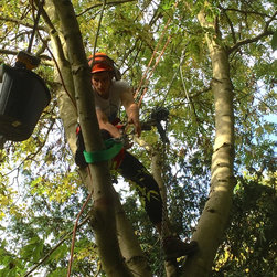 Installing a Treehouse Life Nest Swing project - Products