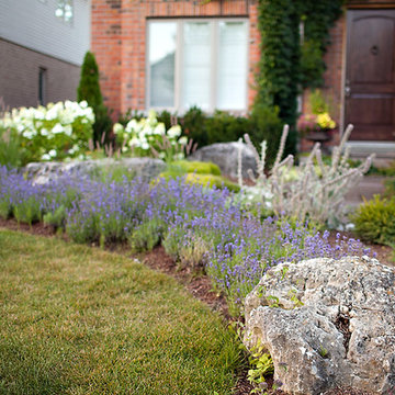 Provence Garden