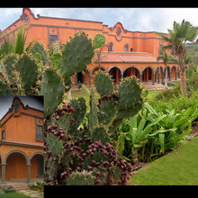 Ywam Base Exterior Ideas