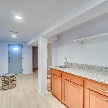 Row House Remodel in Washington, DC