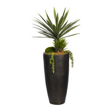 silk tree