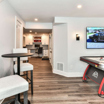 Carper's Farm Modern Basement Remodel in Vienna
