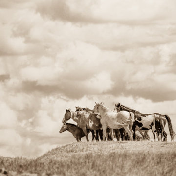 On the Range III