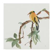 Oriole Art