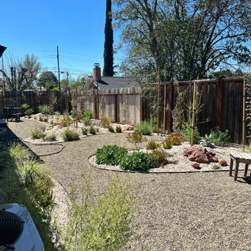 Walnut Creek Project