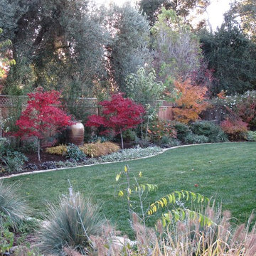 North Los Altos Backyard Entertainment