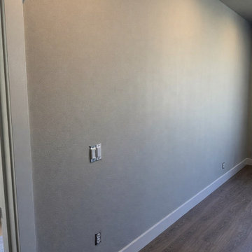 Mill Creek - Living Space Conversion