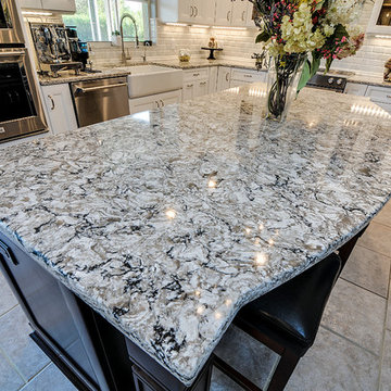 Palm Harbor Transitional Kitchen