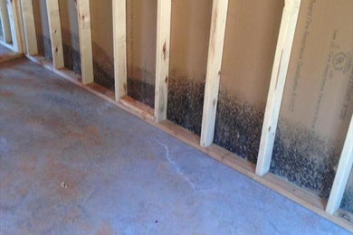 Mold Remediation In New Construction Apartments