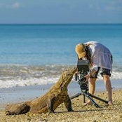 Shannon Wild's photo