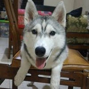 Jan Michael Arellano's photo