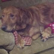 Alvera Winters-Roth's photo