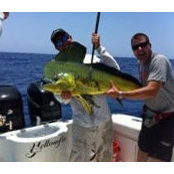 Steve Miller's photo