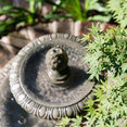 Carolina Landscape, Inc.'s profile photo