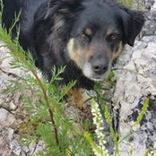 Cindy Gallagher's photo